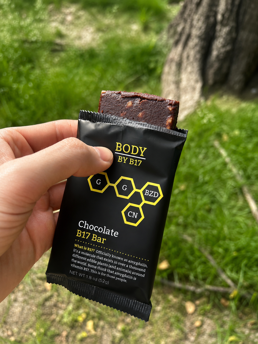 Chocolate B17 Bar - 12 Pack