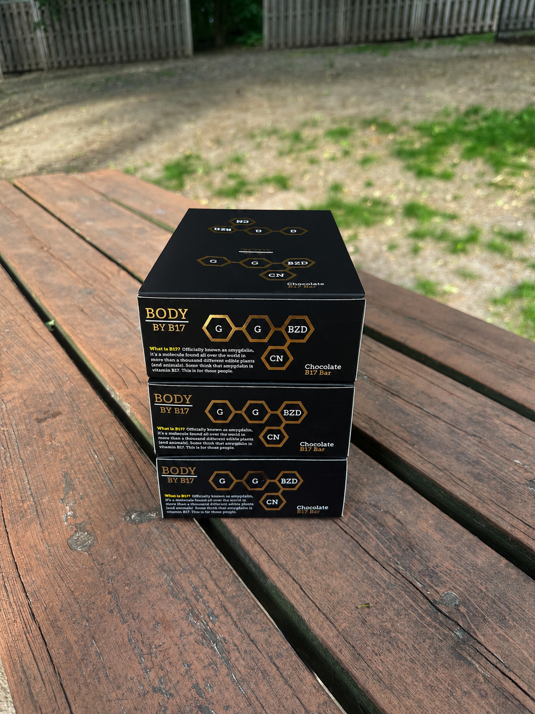 Chocolate B17 Bar - 12 Pack